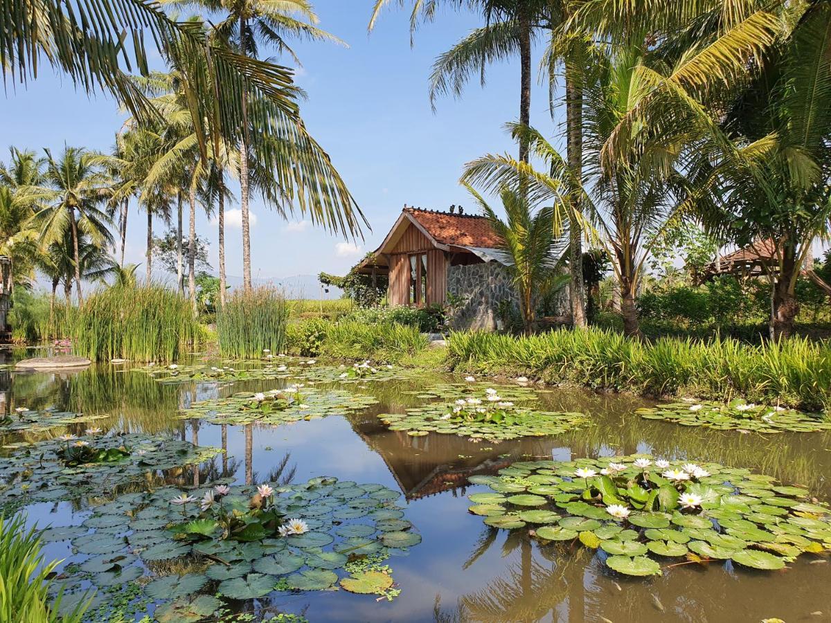 Borobudur Bed & Breakfast Magelang Exterior photo