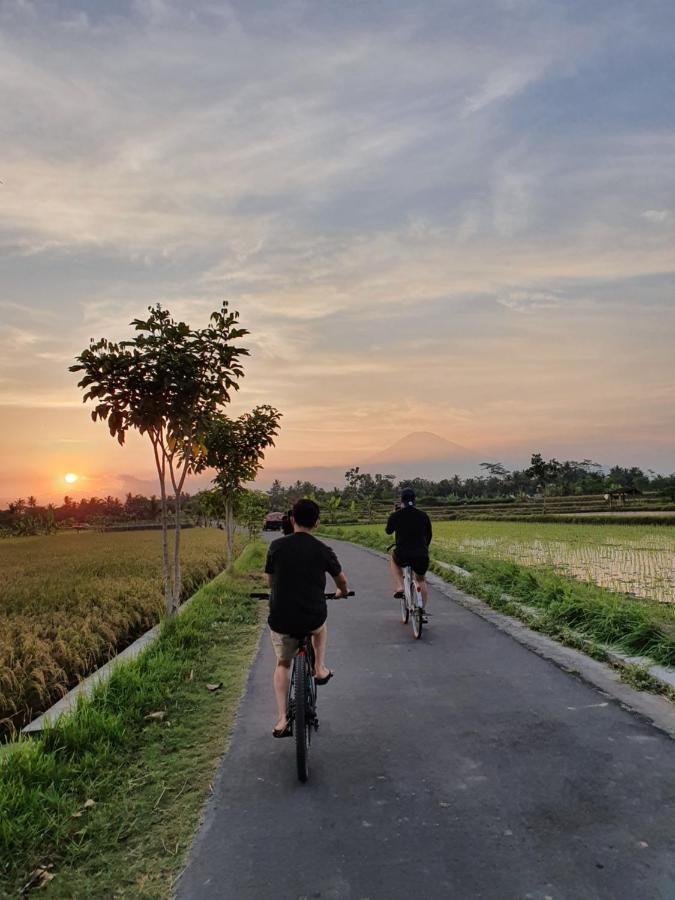 Borobudur Bed & Breakfast Magelang Exterior photo