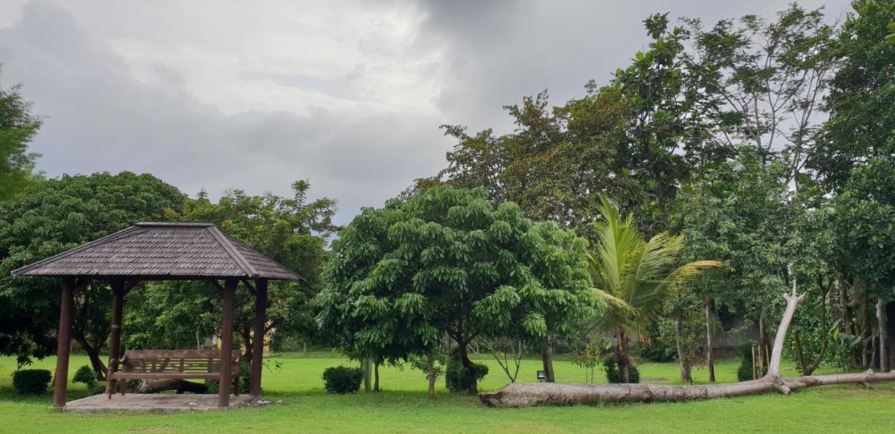 Borobudur Bed & Breakfast Magelang Exterior photo