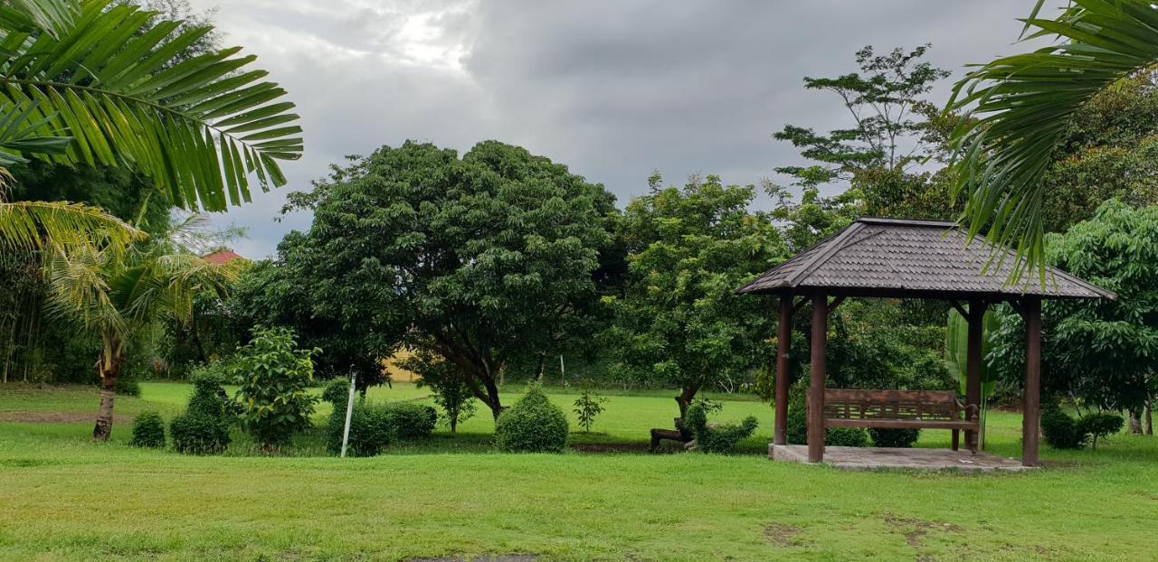 Borobudur Bed & Breakfast Magelang Exterior photo