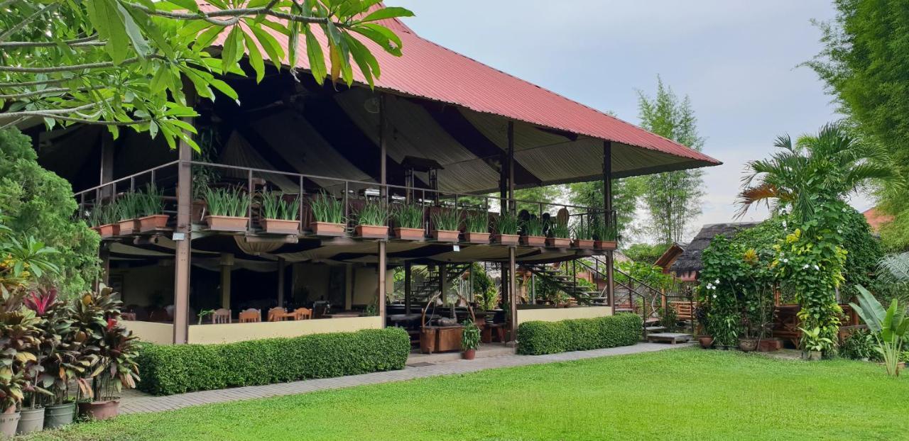 Borobudur Bed & Breakfast Magelang Exterior photo